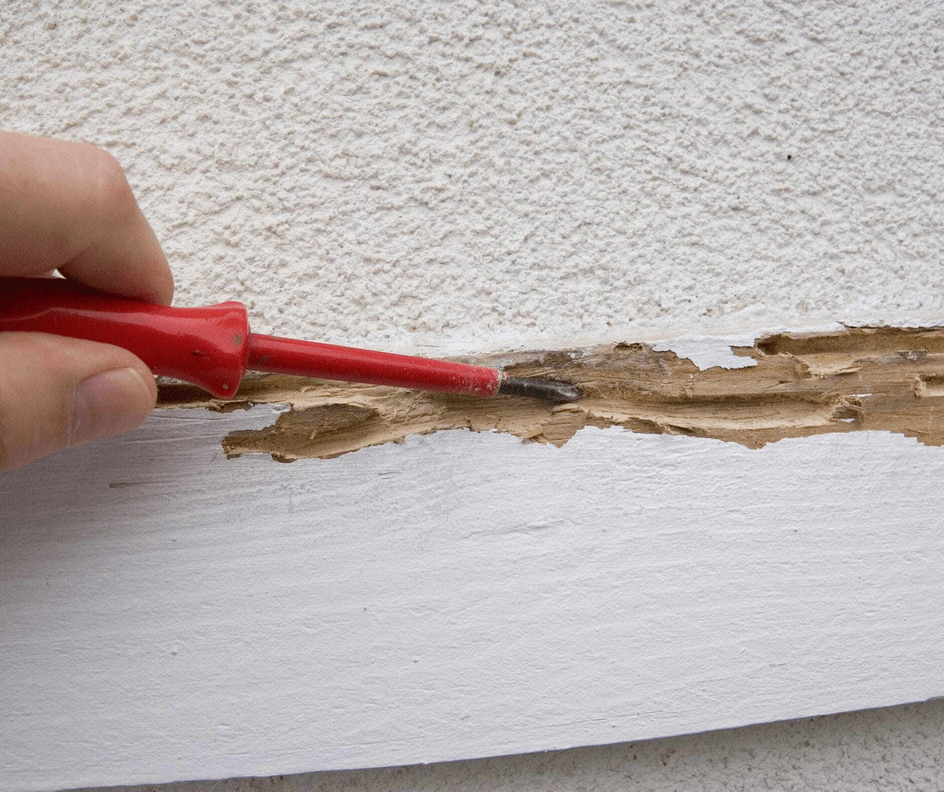 WDO (Termite) Inspection